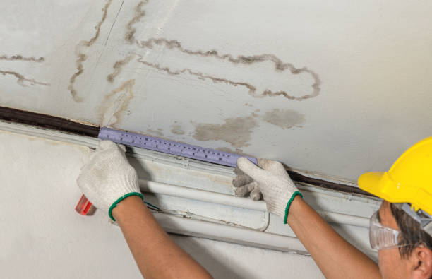 Reliable Mold Remediation contractor in Randleman, NC by Water Damage Irwin